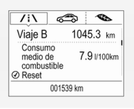 Opel Astra. Centro de información del conductor