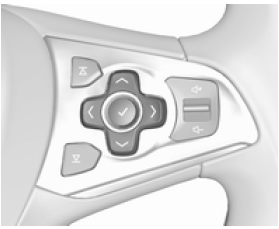 Opel Astra. Indicación de servicio