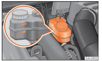 Seat Toledo. Verificación y reposición de niveles