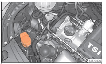 Seat Toledo. Verificación y reposición de niveles