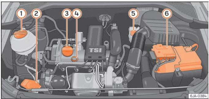 Seat Toledo. Verificación y reposición de niveles