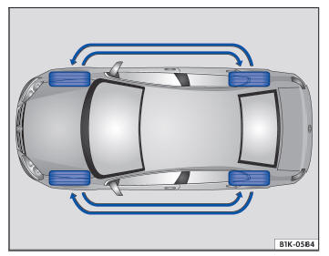 Volkswagen Jetta. Conservación y mantenimiento del vehículo