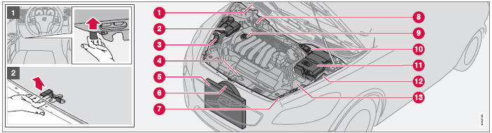 Volvo C30. Capó y compartimento del motor